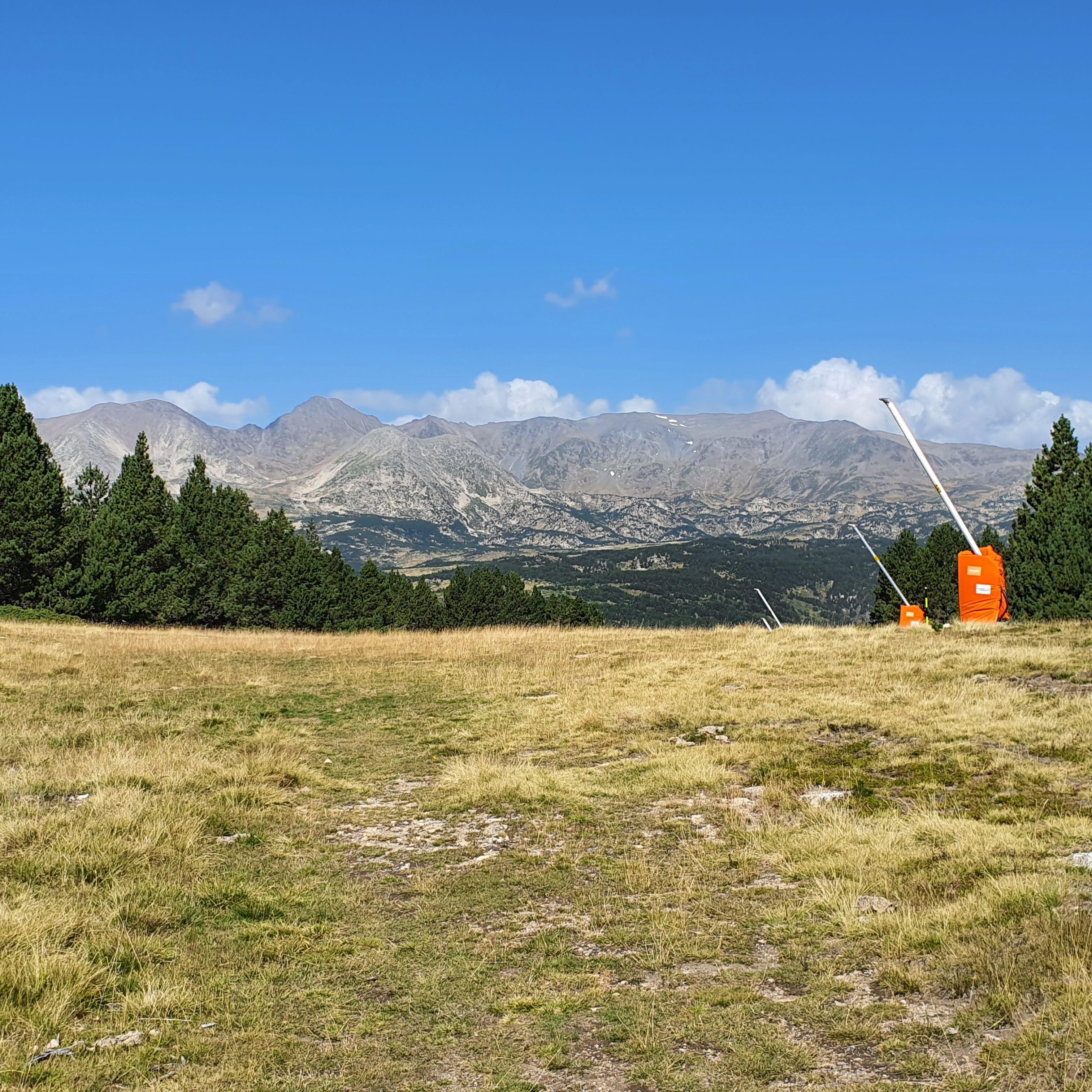 Photo n° 39 de l'avis de Gazelle.a fait le 30/09/2023 à 16:47