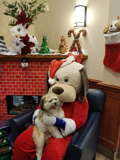 Pet Supply Store «PetSmart», reviews and photos, 288 West Ave, Stamford, CT 06902, USA