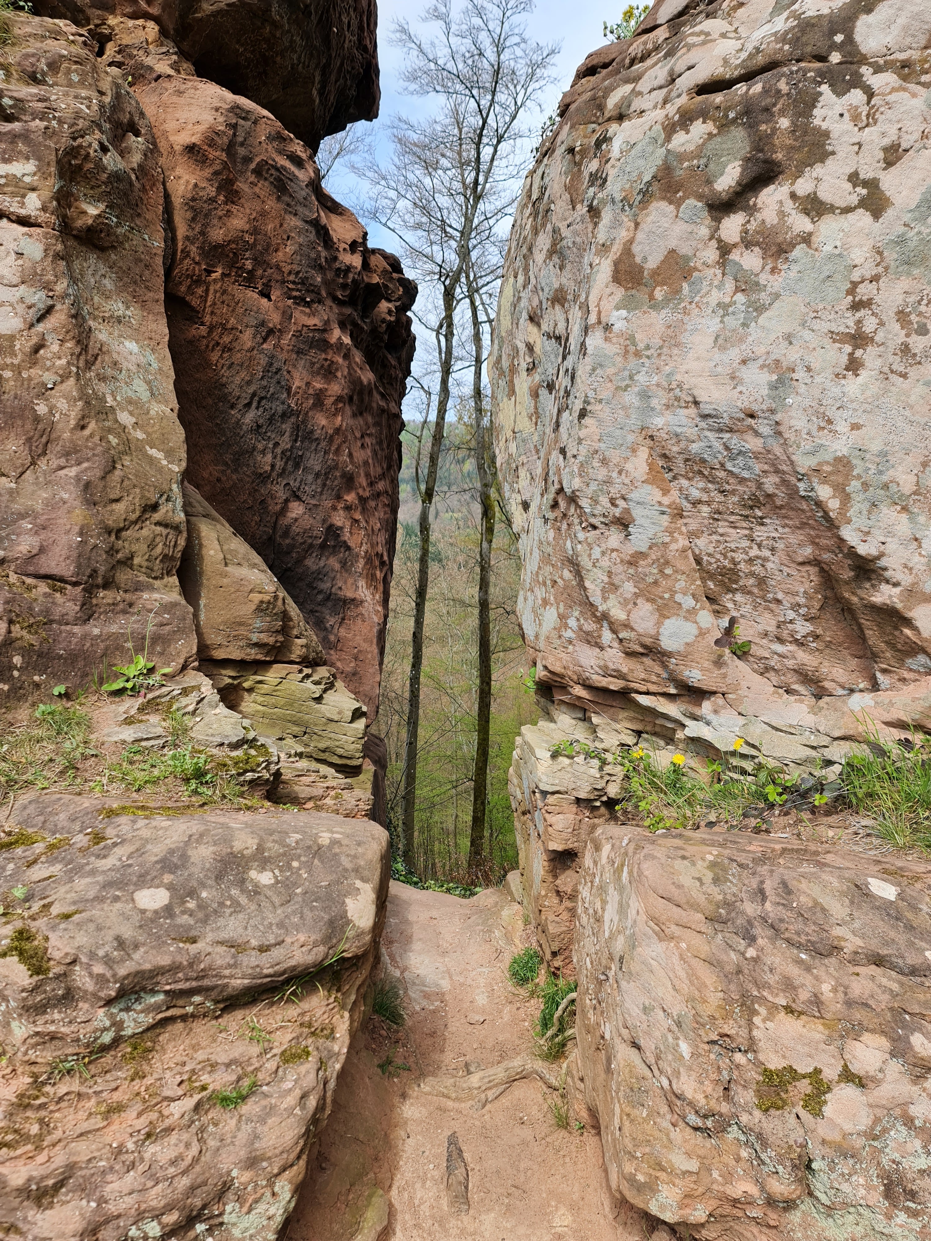 Photo n° 10 de l'avis de Roland.y fait le 23/04/2023 à 08:05