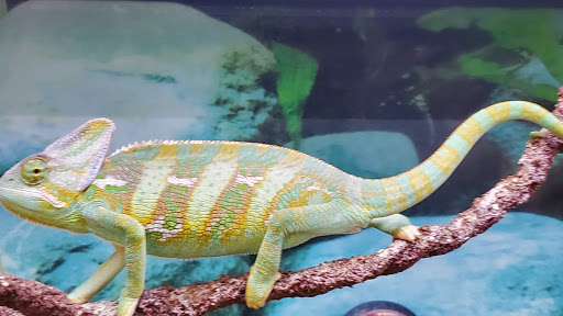 Pet Supply Store «Petco Animal Supplies», reviews and photos, 18578 Coastal Hwy #12, Rehoboth Beach, DE 19971, USA