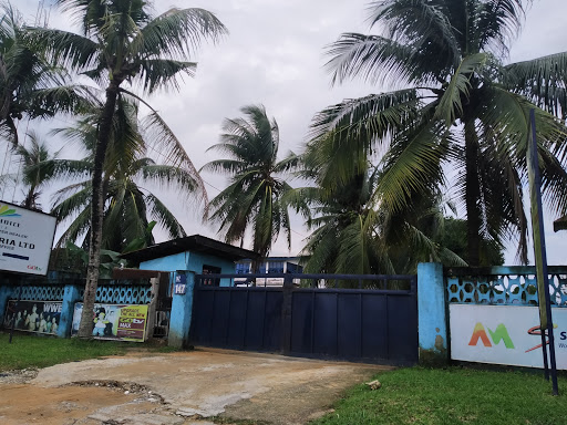 Multichoice Nigeria, 147, Ndidem Usang Iso Rd, Calabar, Nigeria, Shopping Mall, state Cross River