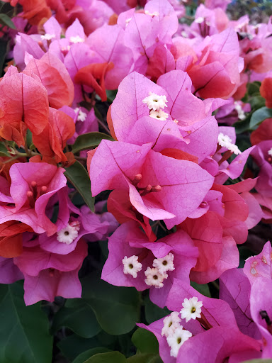 Self-Storage Facility «Price Self Storage», reviews and photos, 533 Stevens Ave W, Solana Beach, CA 92075, USA