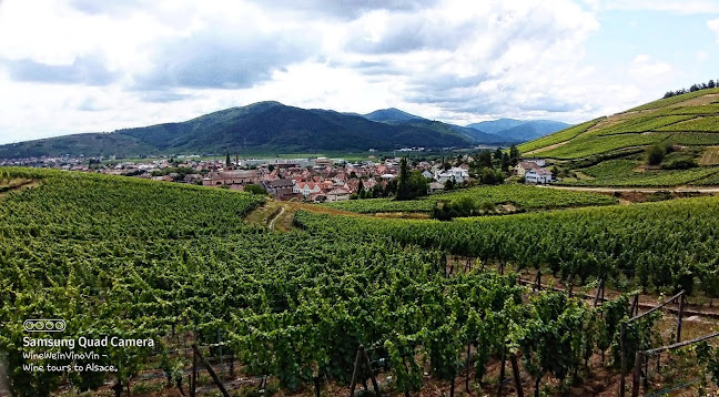 Kommentare und Rezensionen über WineWeinVinoVin wine tours to Alsace
