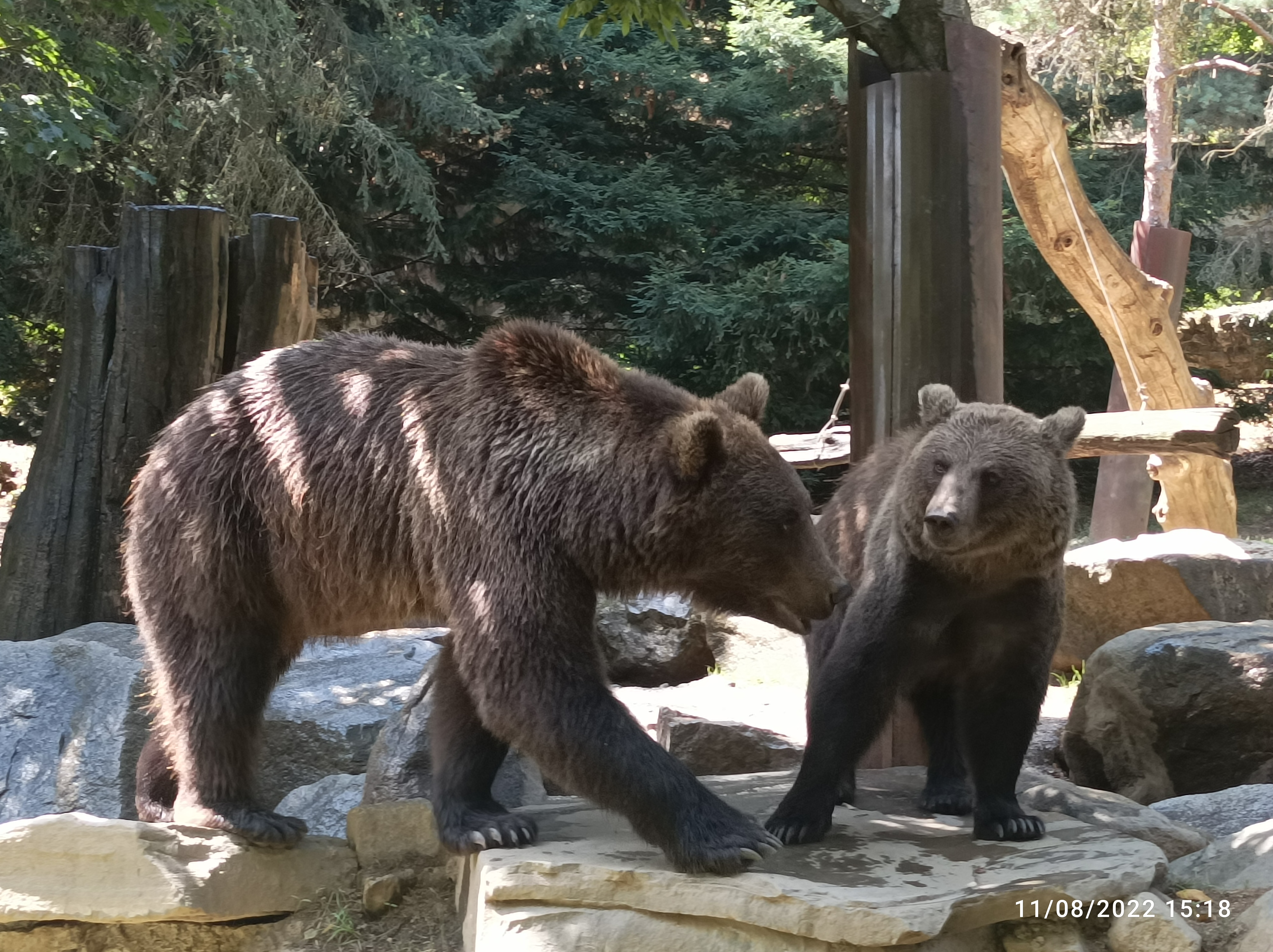 Photo n° 4 de l'avis de aurelie.� fait le 31/08/2019 à 22:43