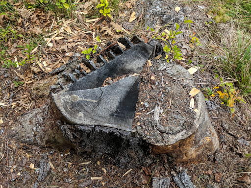 Nature Preserve «Littlejohn Island Preserve», reviews and photos, Pemasong Ln, Yarmouth, ME 04096, USA