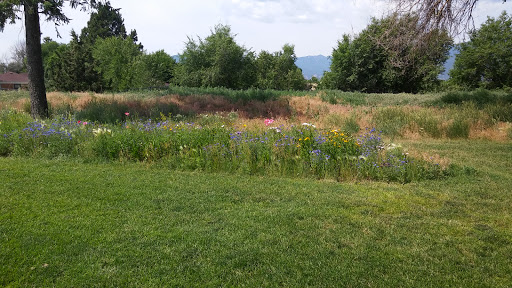 Golf Course «Patty Jewett Municipal Golf Course», reviews and photos, 900 E Espanola St, Colorado Springs, CO 80907, USA