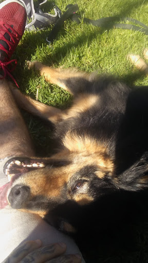 Park «Kenilworth Park», reviews and photos, SE Holgate Blvd & Southeast 34th Avenue, Portland, OR 97202, USA