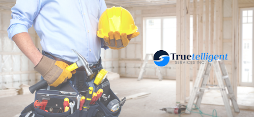 Truetelligent Construction Services Inc. - Austin, TX.