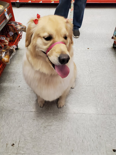 Pet Supply Store «Petco Animal Supplies», reviews and photos, 1333 Centennial Ave, Piscataway Township, NJ 08854, USA