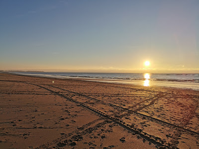 Plage de Bricqueville sur Mer à Bricqueville-sur-Mer