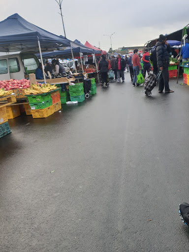 Second hand flea markets in Auckland