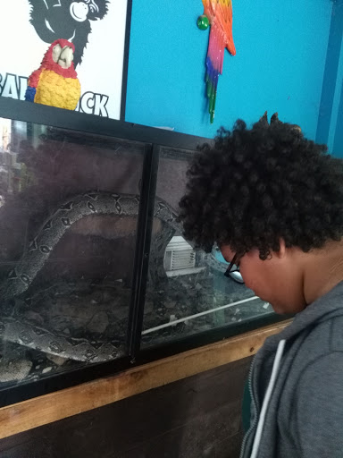 Zoo «Bailiwick Animal Park and Riding Stables», reviews and photos, 118 Castle Rd, Catskill, NY 12414, USA