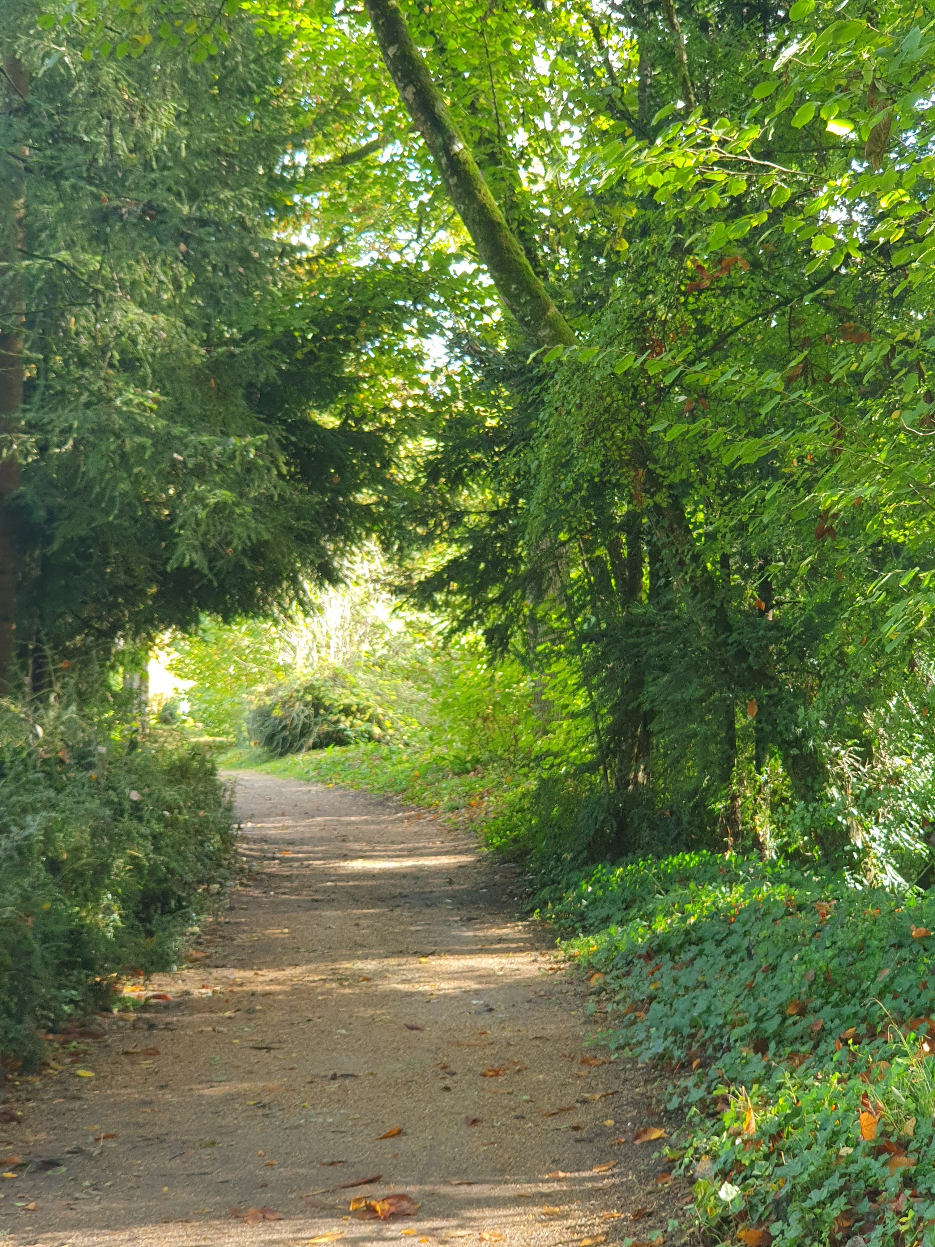 Photo n° 4 de l'avis de Valérie.a fait le 29/10/2023 à 05:20