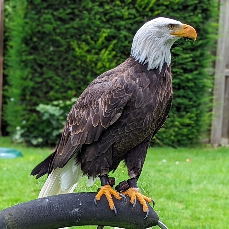 Dierenpark de Oliemeulen