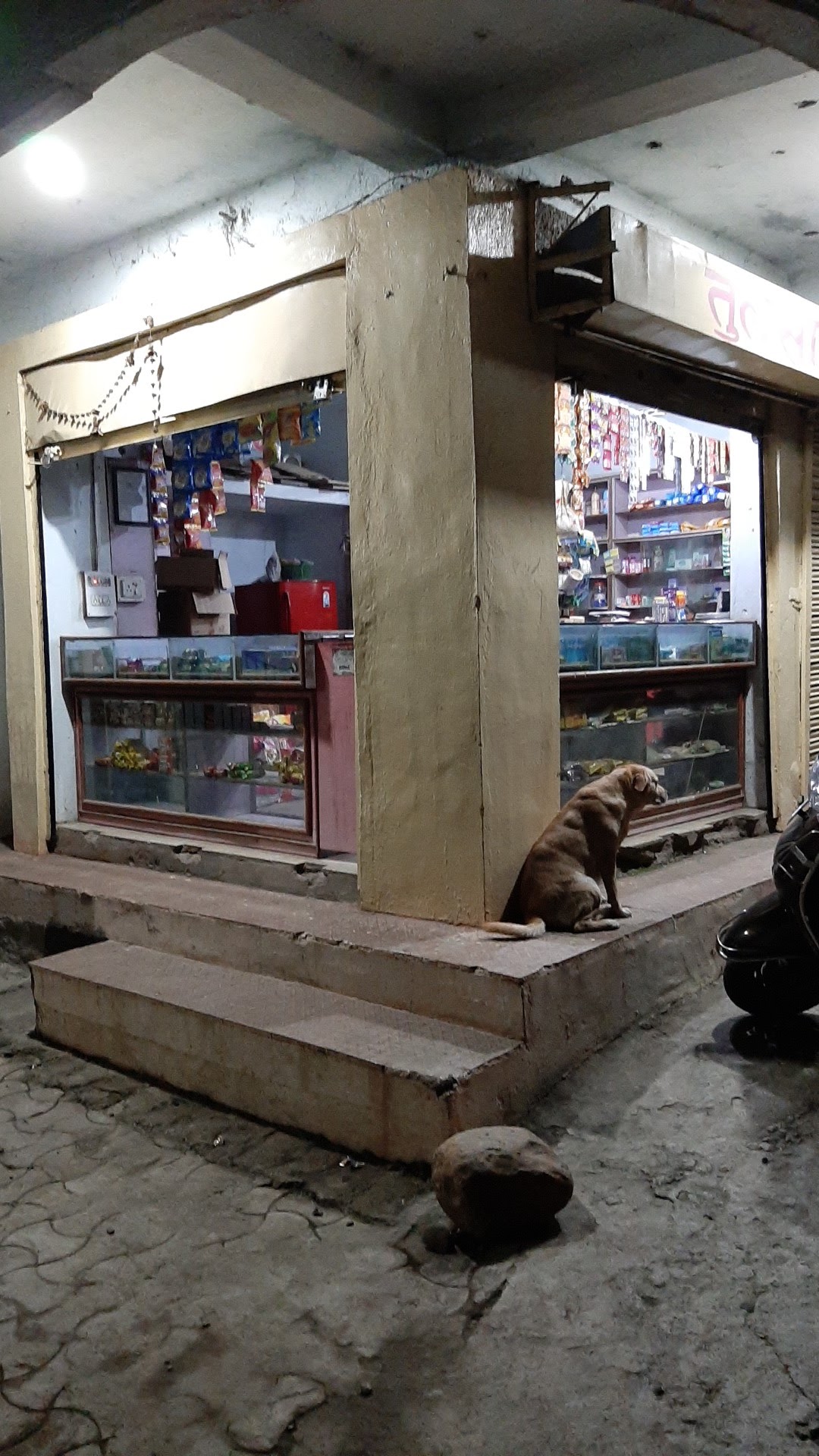 Tulsi traders