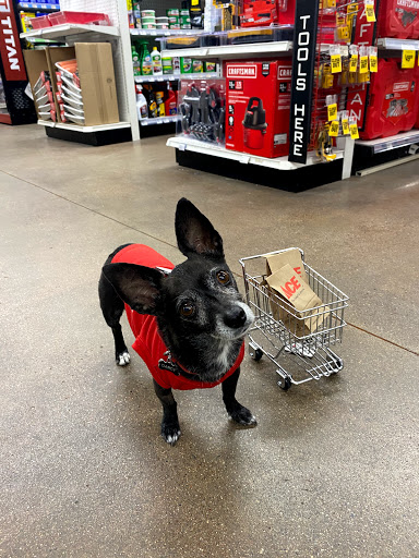 Hardware Store «Pinnacle Peak Ace Hardware», reviews and photos, 23623 N Scottsdale Rd, Scottsdale, AZ 85255, USA