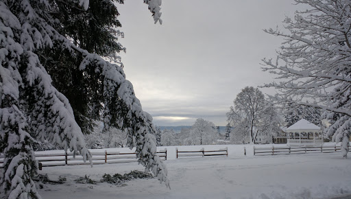 Museum «Pearson Air Museum», reviews and photos, 1115 E 5th St, Vancouver, WA 98661, USA
