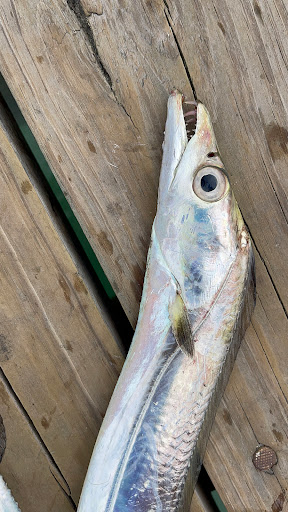 Fishing Pier «Springmaid Pier», reviews and photos, 3200 S Ocean Blvd, Myrtle Beach, SC 29577, USA