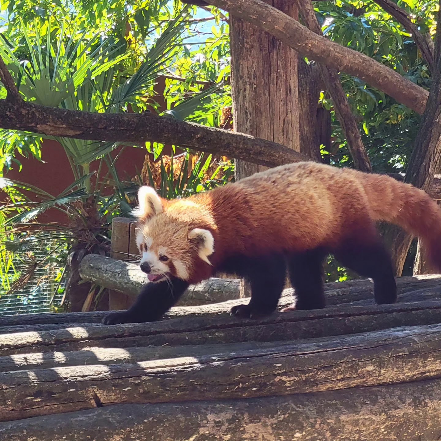 Photo n° 2 de l'avis de Henri.u fait le 24/08/2023 à 07:09