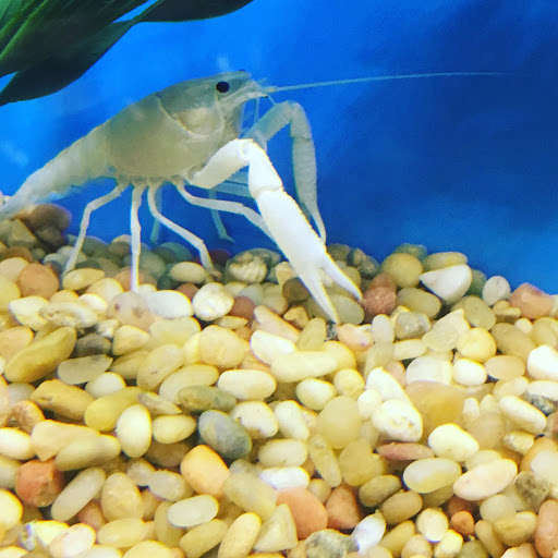 Pet Supply Store «Pet Supplies Plus», reviews and photos, 350 Ramapo Valley Rd #28, Oakland, NJ 07436, USA