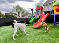 Dayton Pet Care - Photo 8 - Car repair in Dayton, OH, Dayton