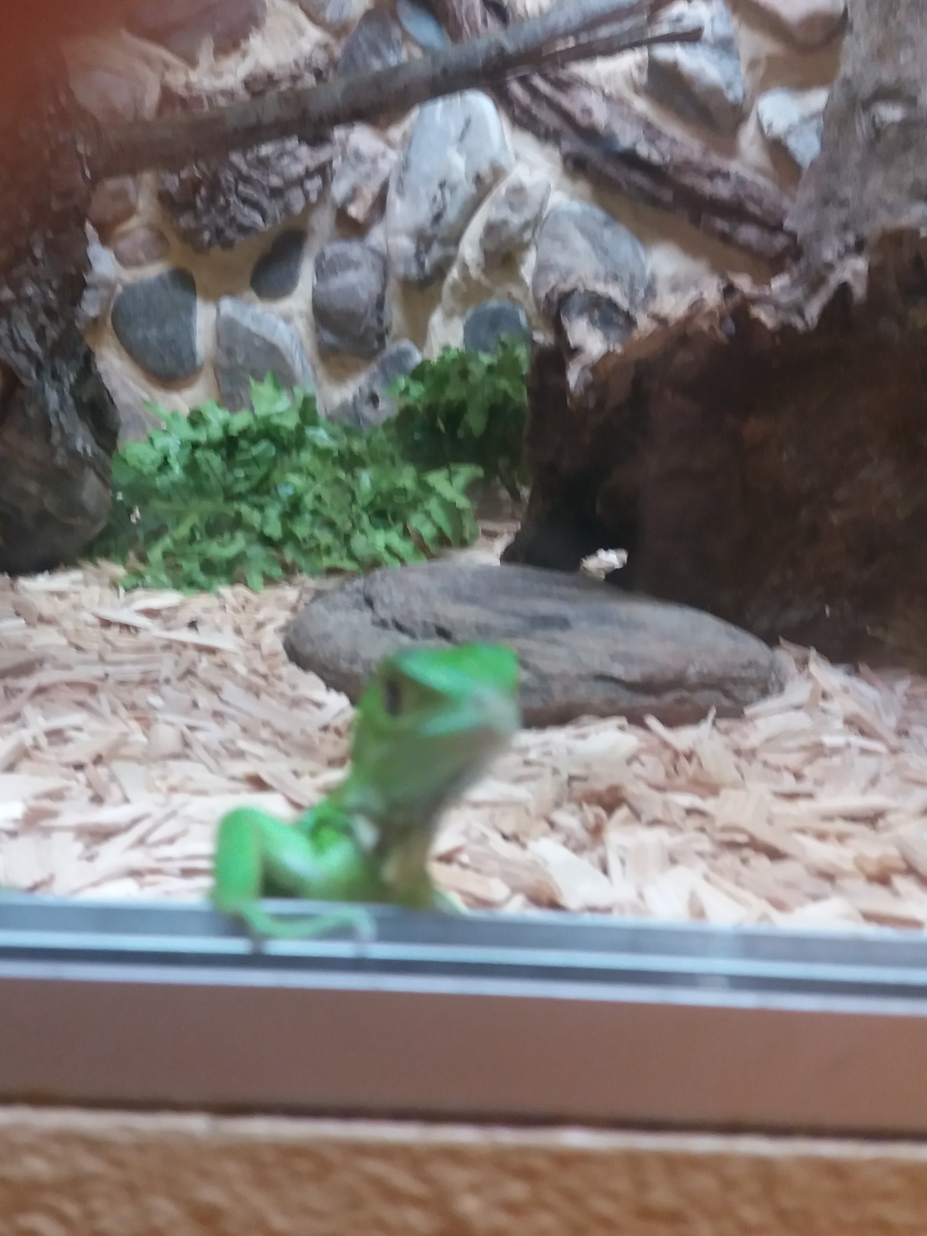 Photo n° 12 de l'avis de Damien.i fait le 21/08/2017 à 19:35