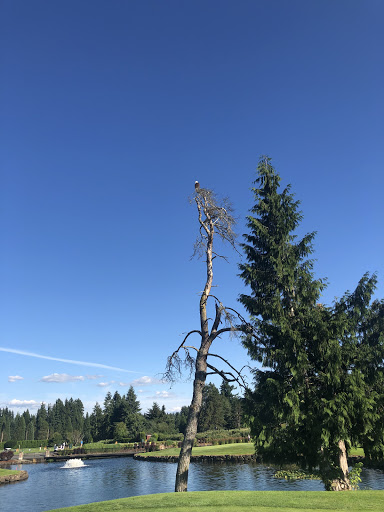Country Club «Meridian Valley Country Club», reviews and photos, 24830 136th Ave SE, Kent, WA 98042, USA