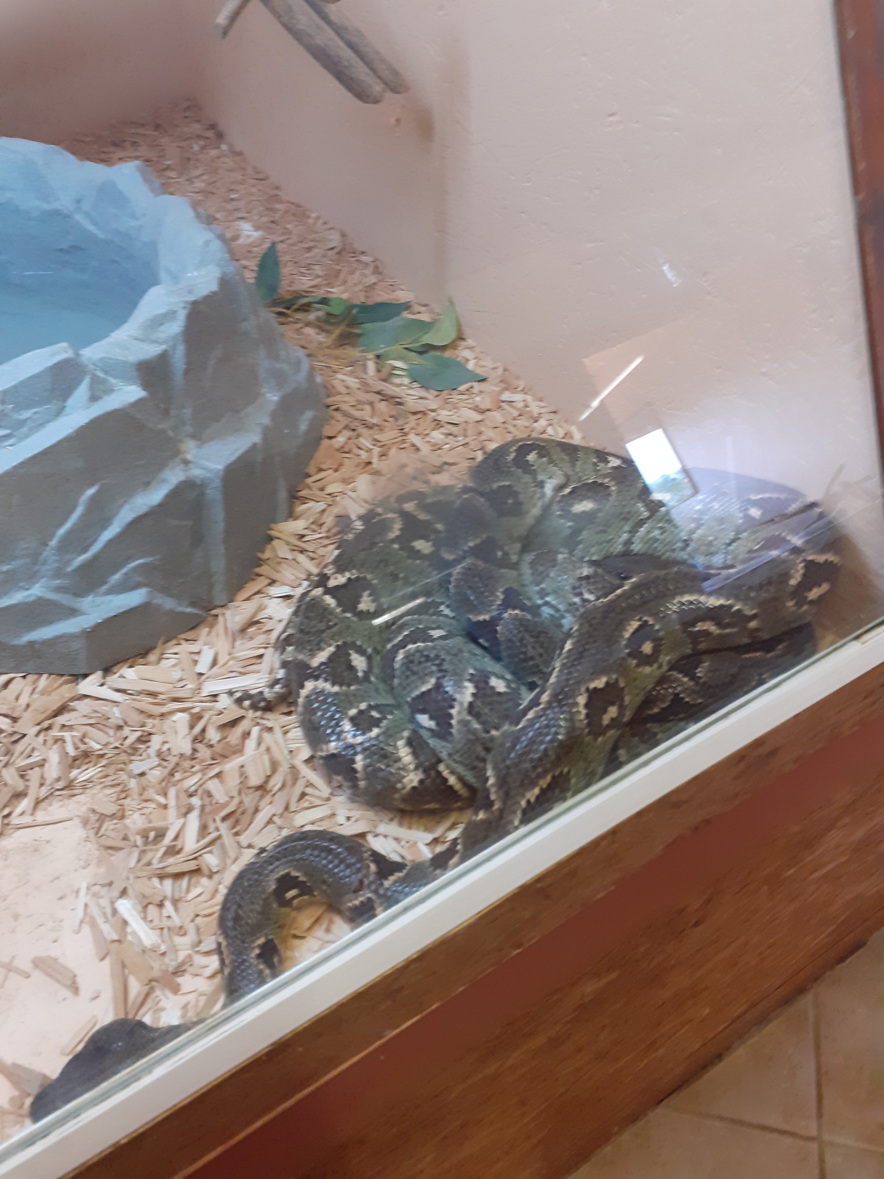 Photo n° 5 de l'avis de valjeux. fait le 26/07/2022 à 11:30