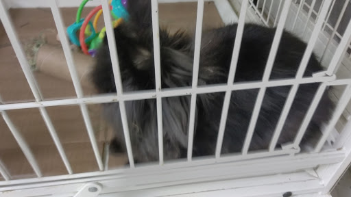 Pet Supply Store «Petco Animal Supplies», reviews and photos, 855 E Bidwell St, Folsom, CA 95630, USA