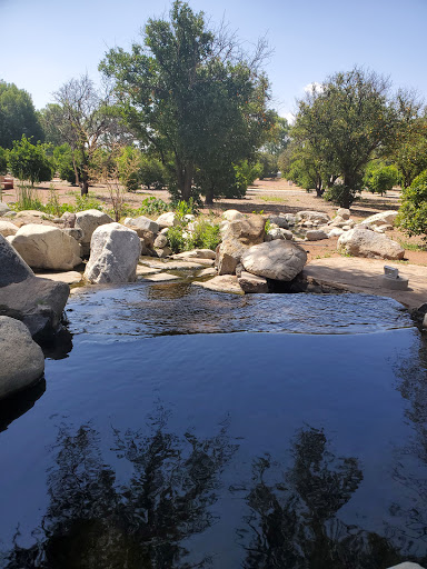 CSUN Duck Pond