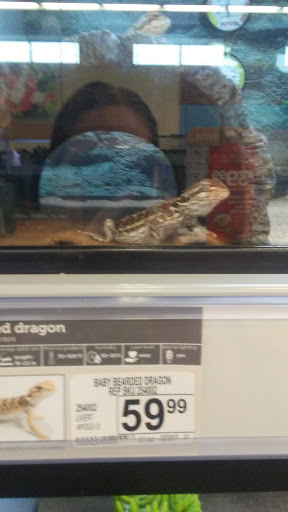 Pet Supply Store «Petco Animal Supplies», reviews and photos, 6720 Fox Centre Pkwy, Gloucester Courthouse, VA 23061, USA