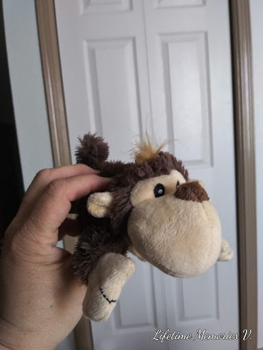 Pet Supply Store «Petco Animal Supplies», reviews and photos, 5994 Montana Ave, El Paso, TX 79925, USA