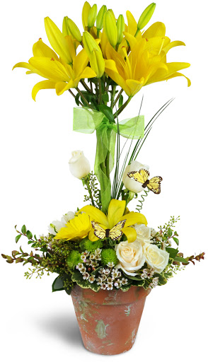 Florist «P Rogers & Co Florists», reviews and photos, 12 Pine Hill Ave, Stamford, CT 06906, USA