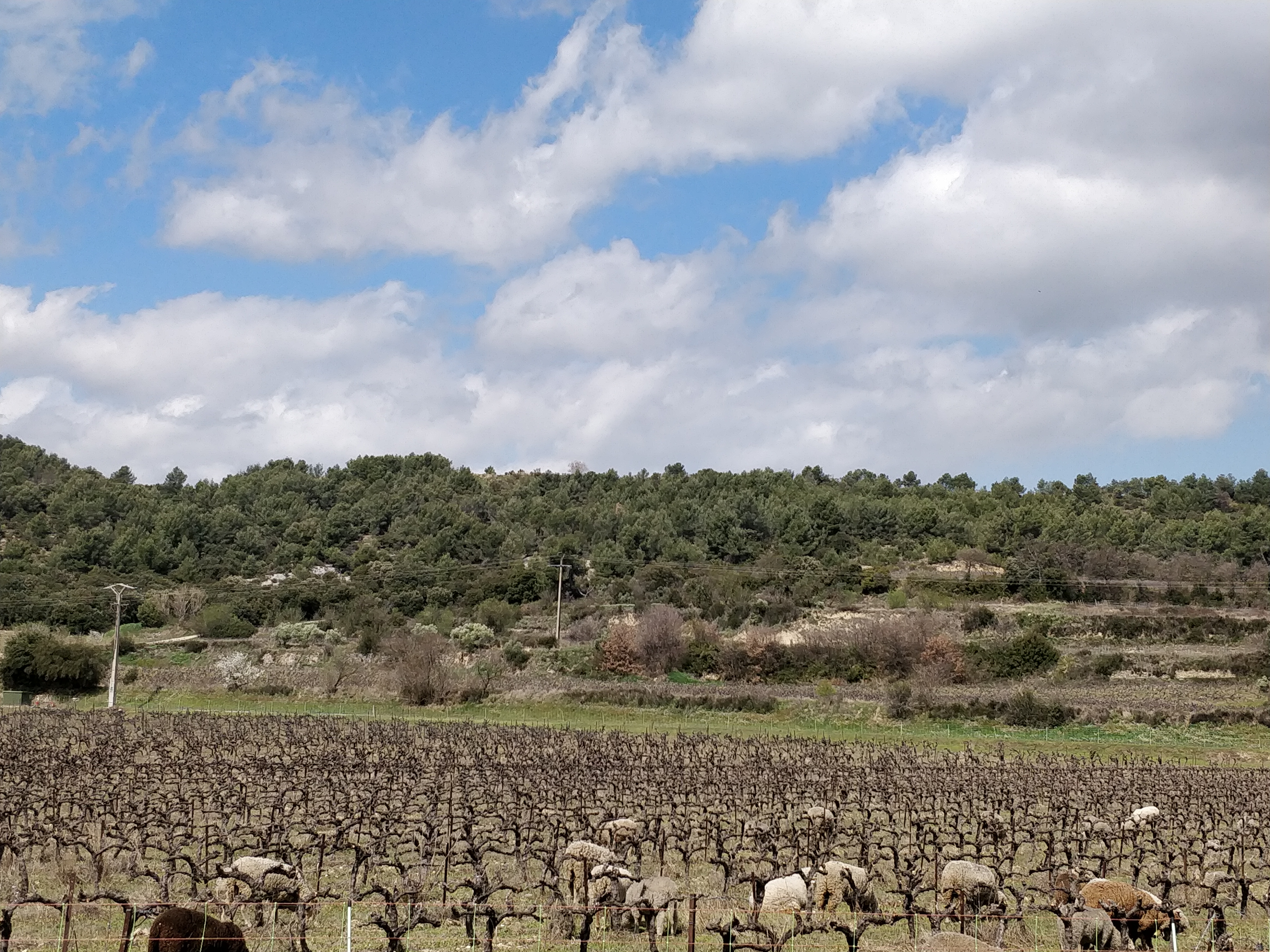 Photo n° 2 de l'avis de Sergi.a fait le 02/04/2018 à 21:08