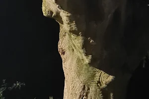 Ashburne Tree Man image