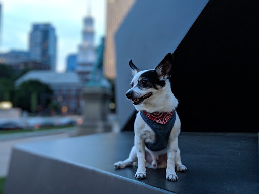 Art Museum «Wadsworth Atheneum Museum of Art», reviews and photos, 600 Main St, Hartford, CT 06103, USA