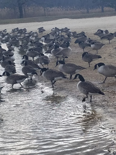 State Park «Cheesequake State Park», reviews and photos, 300 Gordon Rd, Matawan, NJ 07747, USA