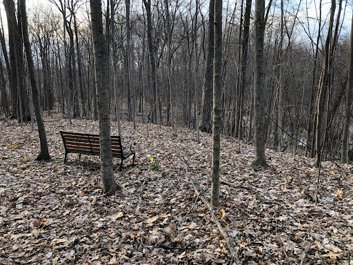 Fox Run Hiking Trails