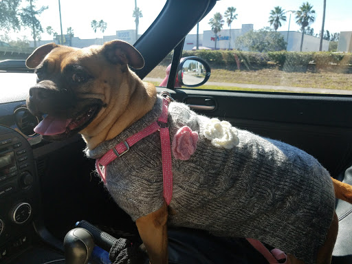 Pet Supply Store «PetSmart», reviews and photos, 1800 Evans Rd, Melbourne, FL 32904, USA