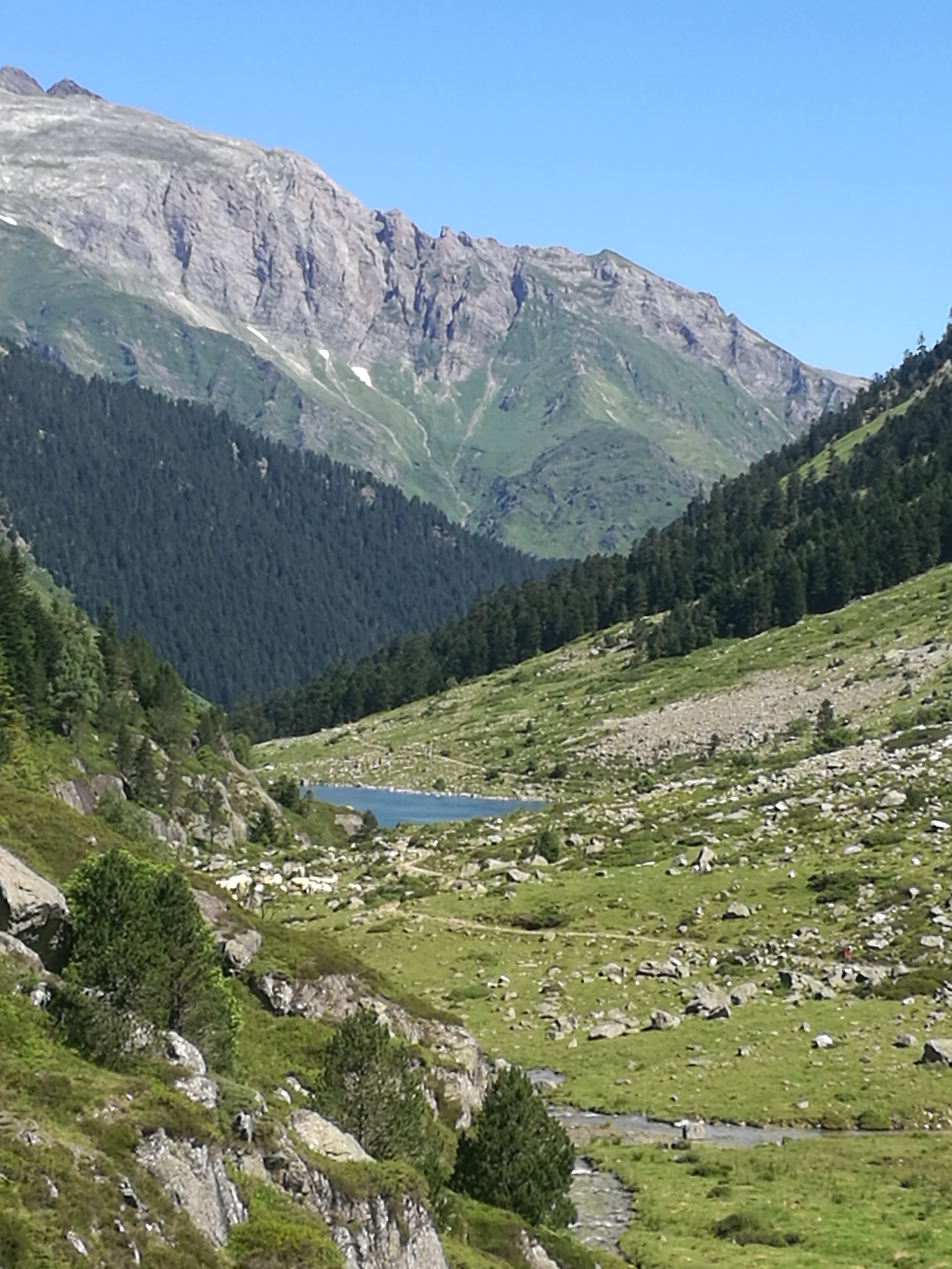 Photo n° 1 de l'avis de fabienne.o fait le 03/09/2018 à 15:15