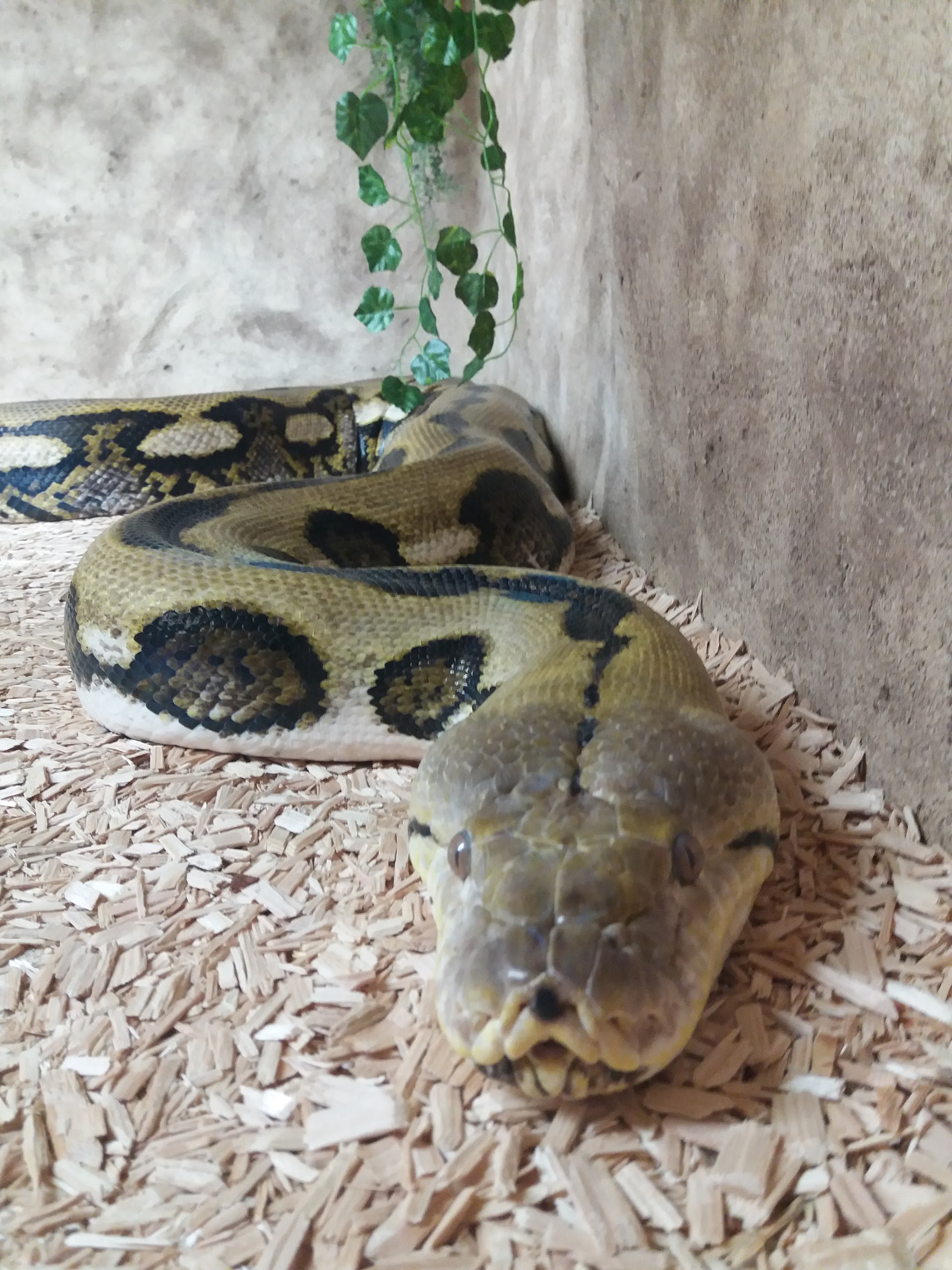 Photo n° 14 de l'avis de Damien.i fait le 21/08/2017 à 19:35