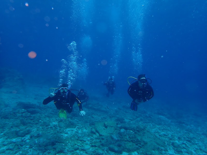 Mermaid Island Diving