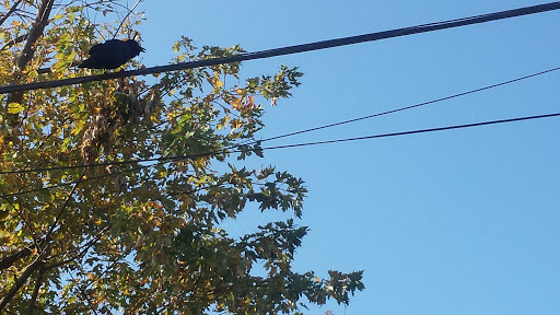 Beauty Salon «Carmela Hair Salon», reviews and photos, 38 Bay Shore Rd, Bay Shore, NY 11706, USA