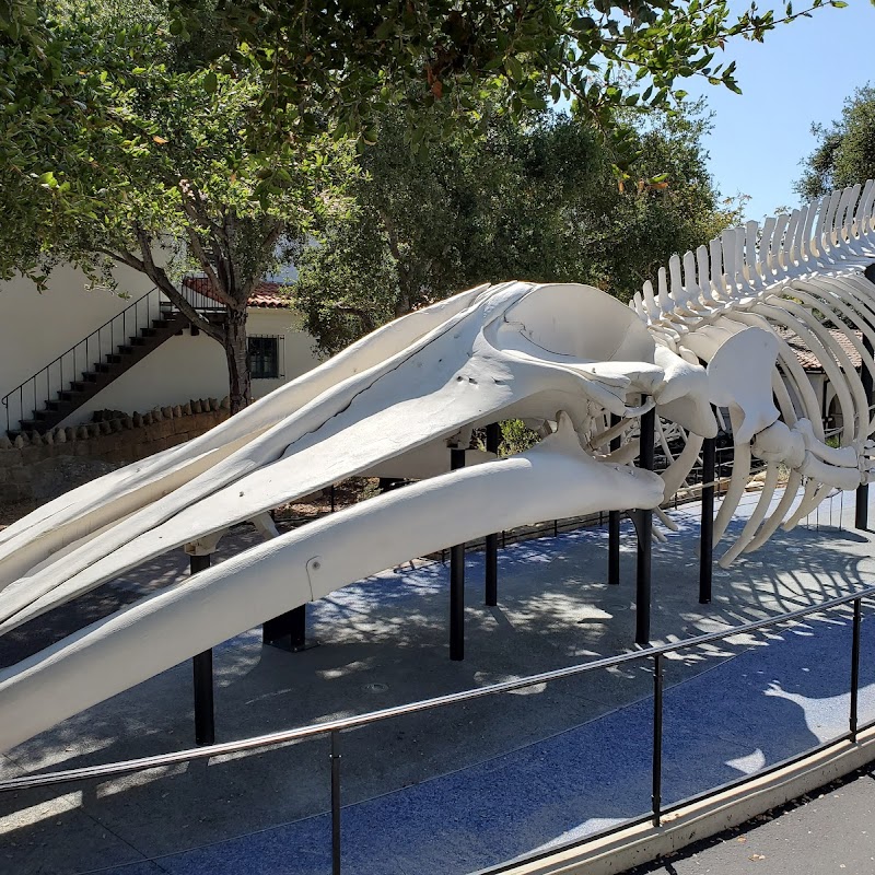 Santa Barbara Museum of Natural History