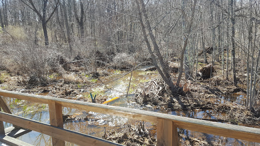 State Park «Monmouth Battlefield State Park», reviews and photos, 16 Business Route 33, Manalapan Township, NJ 07726, USA