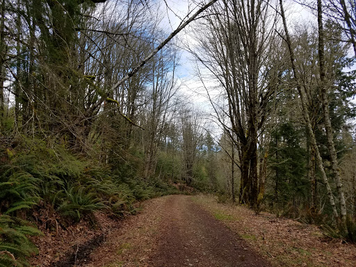 Park «Wildcat Lake County Park», reviews and photos, 9205 NW Holly Rd, Bremerton, WA 98312, USA