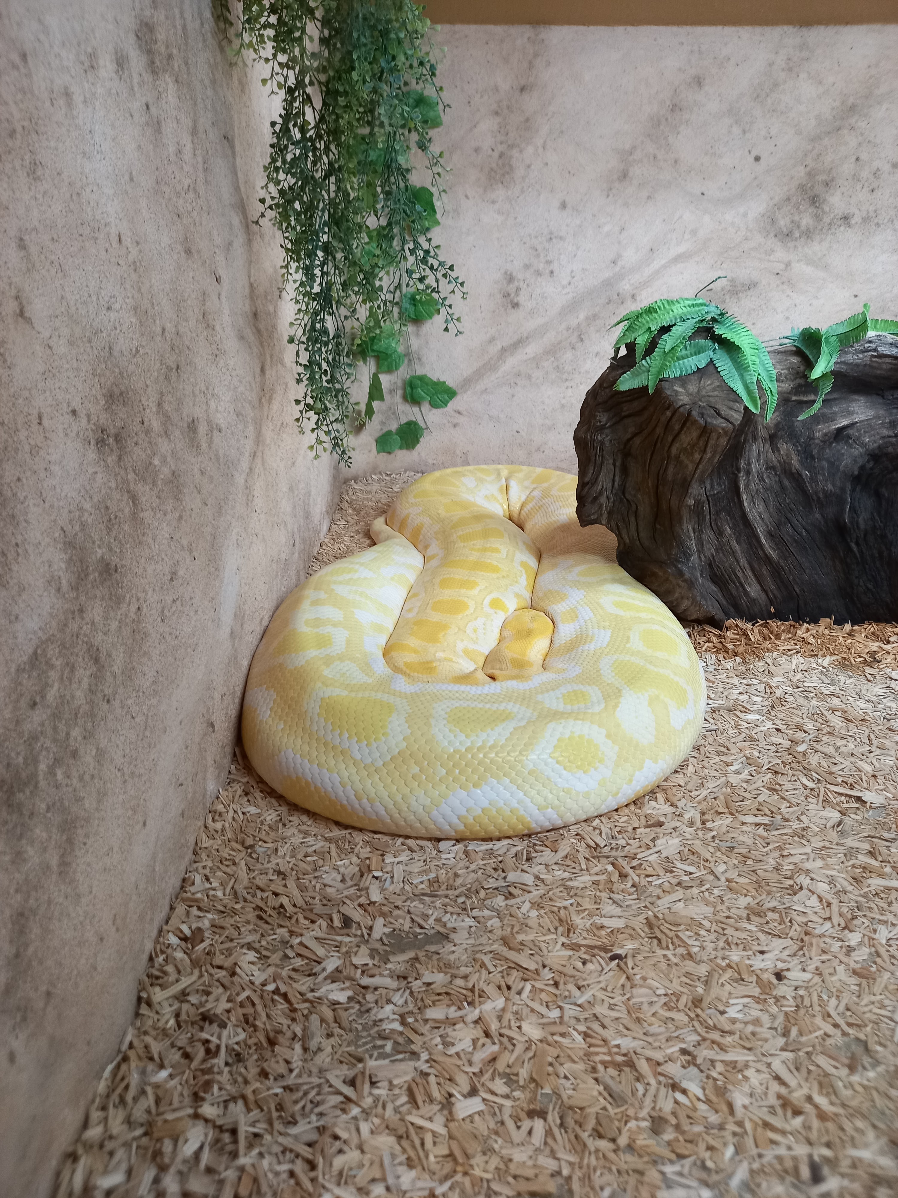 Photo n° 7 de l'avis de Lysiane.a fait le 19/07/2023 à 21:15