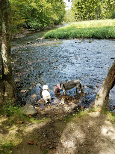 Nature Preserve «Caesar Creek Gorge State Nature Preserve», reviews and photos, 4080 Corwin Rd, Oregonia, OH 45054, USA