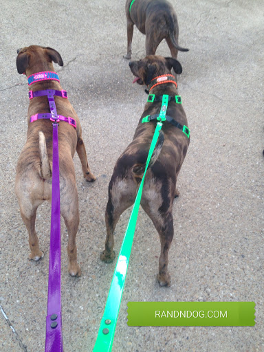 Pet Supply Store «Tails», reviews and photos, 745 Higuera St, San Luis Obispo, CA 93401, USA