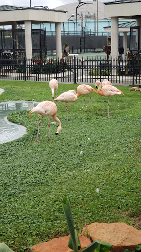 Tennis Club «Westside Tennis & Fitness», reviews and photos, 1200 Wilcrest Dr, Houston, TX 77042, USA